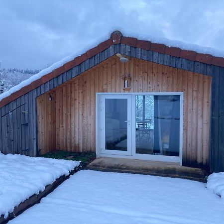 Le Chalet Dans La Nature Saulcy-sur-Meurthe المظهر الخارجي الصورة