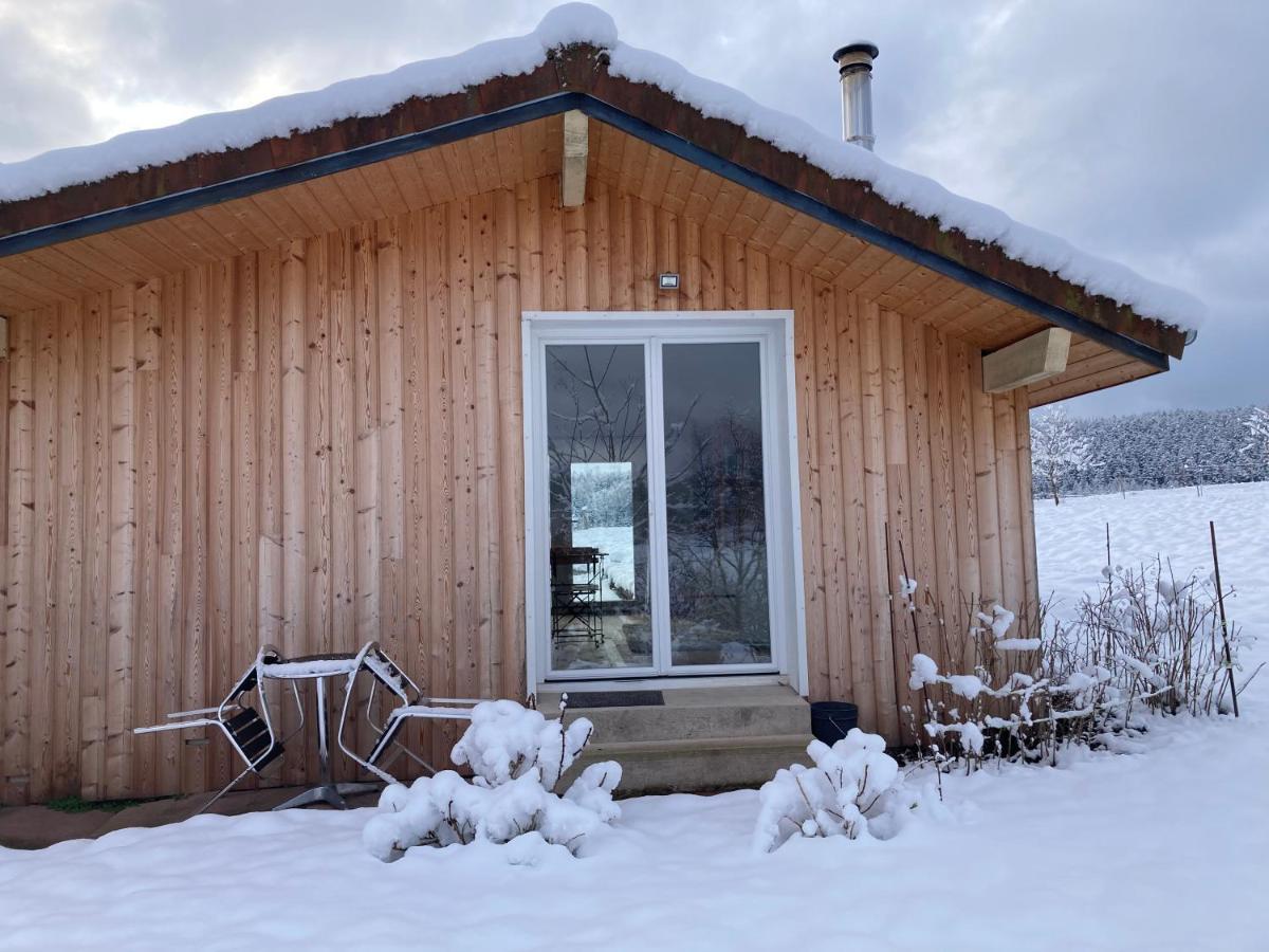 Le Chalet Dans La Nature Saulcy-sur-Meurthe المظهر الخارجي الصورة